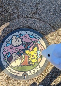 ポケモンの記録でも載せます