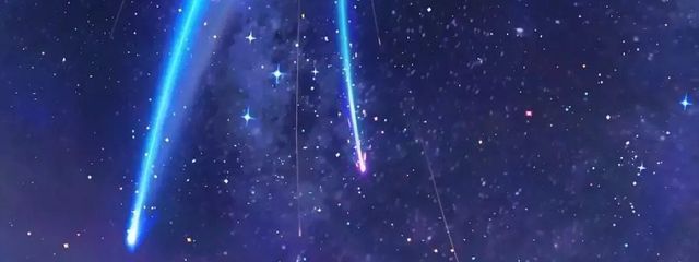 チャンリーฅ^•ω•^ฅ🌸🐬さんの壁紙画像