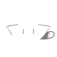 ねこたぬきさんのアイコン画像