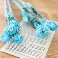 みけねこさんのアイコン画像