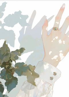 ツギハギ略奪愛