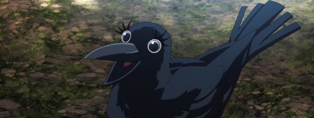 如月 愛菜さんの壁紙画像