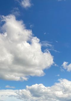 にゃるの小説告知