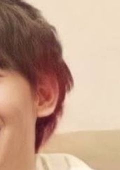 転生したら推しの飼い猫になりました。