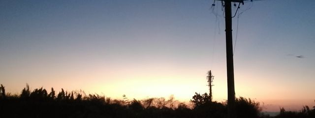 　　酔花だし‼️さんの壁紙画像