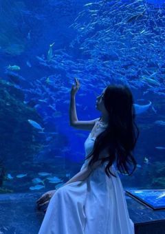 あの子の元カノ