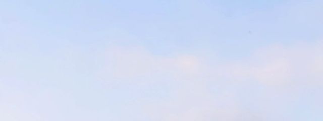 泡羽さんの壁紙画像