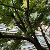 悔色さんのアイコン画像