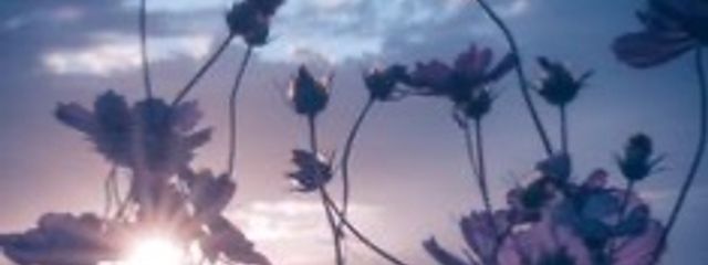 Treasure推し( snowman・Jo1)さんの壁紙画像