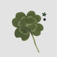 ꒰ა🍀໒꒱さんのアイコン画像