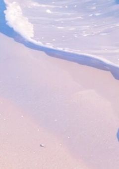 ただのセフレのはずなのに。