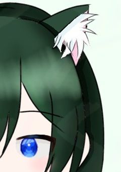 一緒に薔薇を見ていきませんか？