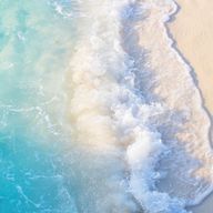 はりゅさんのアイコン画像