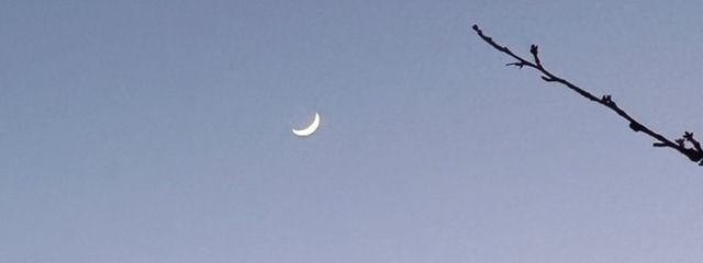 ふいさんの壁紙画像