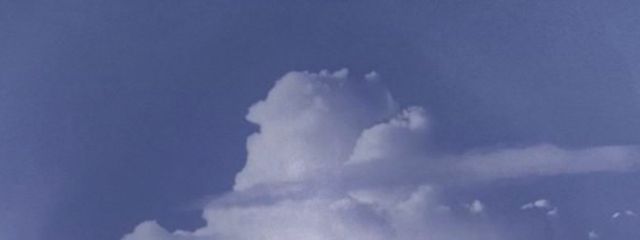 mioさんの壁紙画像