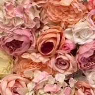 リン・Hさんのアイコン画像