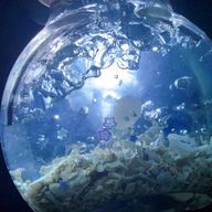 ゆら/유라さんのアイコン画像