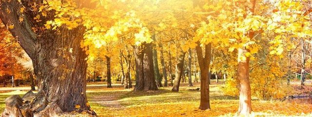 　さんの壁紙画像