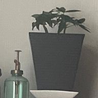 𖭲 (⚨ ƕさんのアイコン画像