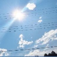 まろん  サブさんのアイコン画像