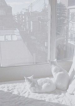 匿名 様
