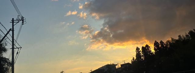 アイマルさんの壁紙画像