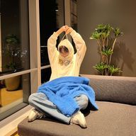 YUZUKI  -投稿頻度低下中-さんのアイコン画像