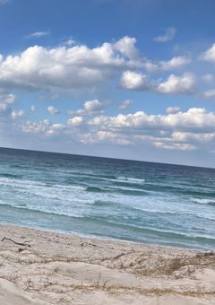 #花が堕ちたので