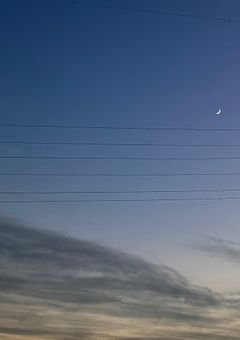 #  個性爆発系歌い手グループの愛され担当さんは嘘つき常習犯