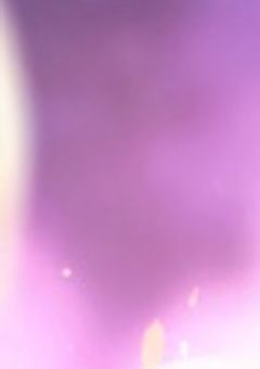  # 先生 、クラゲは恋しますか ?  