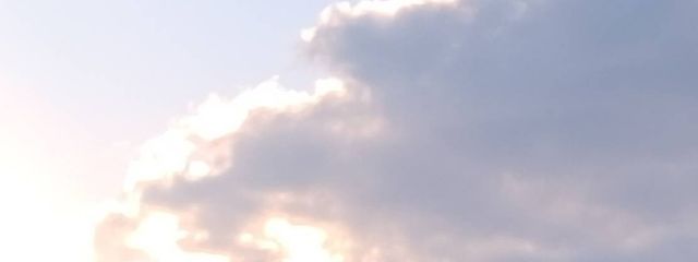 クローバー☘️さんの壁紙画像