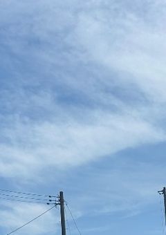 今日からシェアハウス始めます