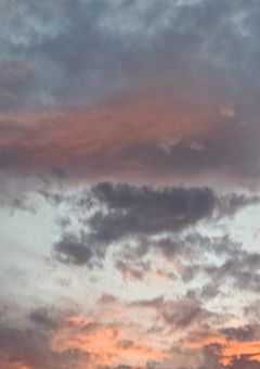 りrrrrrrrrrrrrrrれー