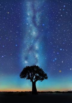 異世界転生かと思ったら好きな作品の世界に来てました