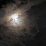 なひめぐさんのアイコン画像
