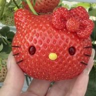 菜々さんのアイコン画像