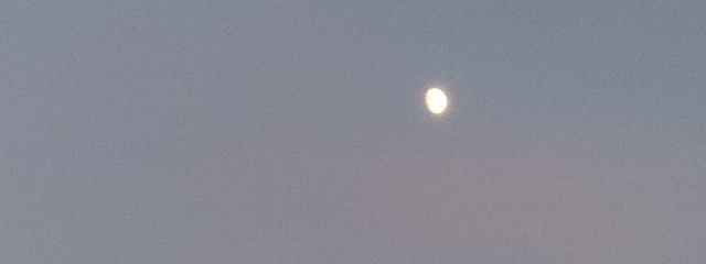 mihuyu❄さんの壁紙画像