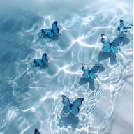 千秋さんのアイコン画像