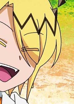 こんにゃく専用