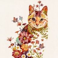 コヤンギさんのアイコン画像
