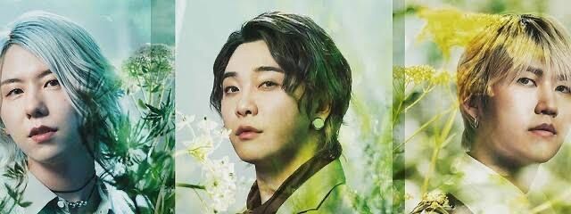 成熟したりんご🍏さんの壁紙画像
