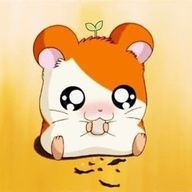 きあさんのアイコン画像