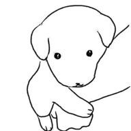 🤍さんのアイコン画像
