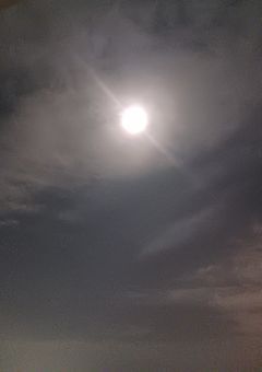 香水の香り