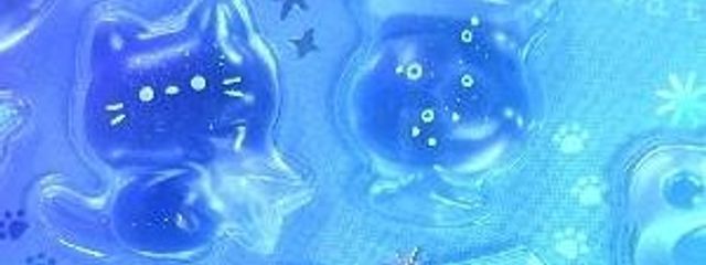 子猫ちゃんさんの壁紙画像