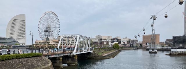ゆきさんの壁紙画像