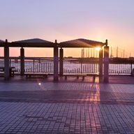 オタクちゃん。さんのアイコン画像