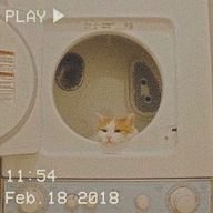 ゆずさんのアイコン画像