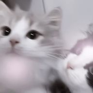 なぬ²⁹さんのアイコン画像