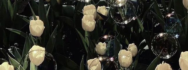 おくなさんの壁紙画像